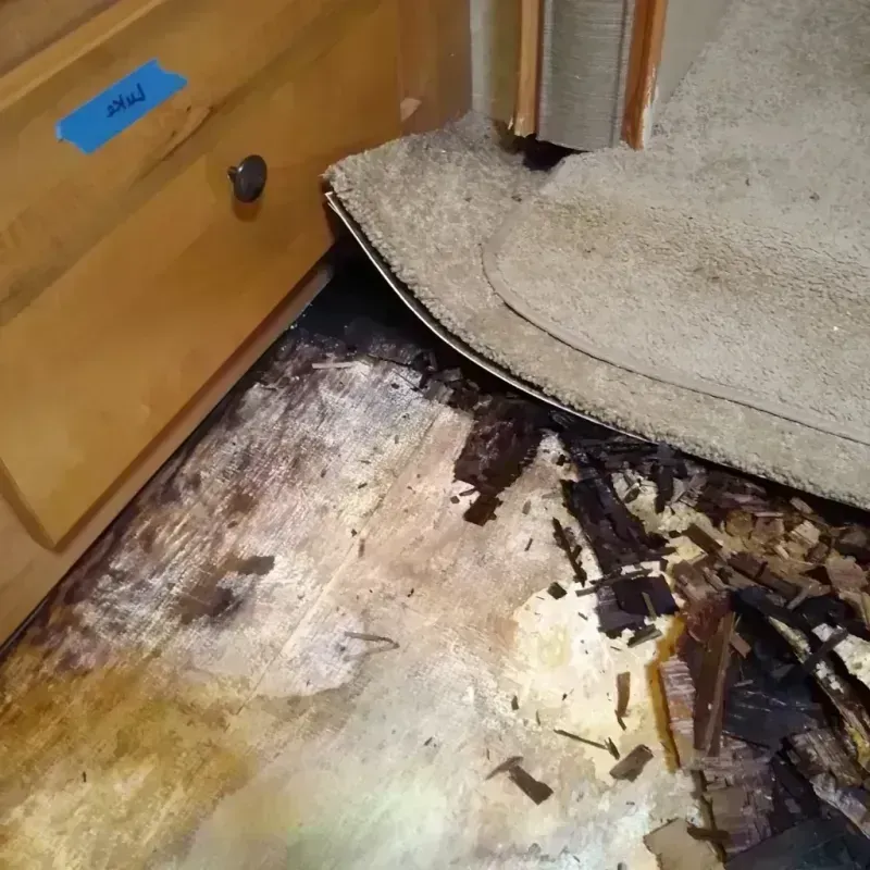 Wood Floor Water Damage in Parkville, MD